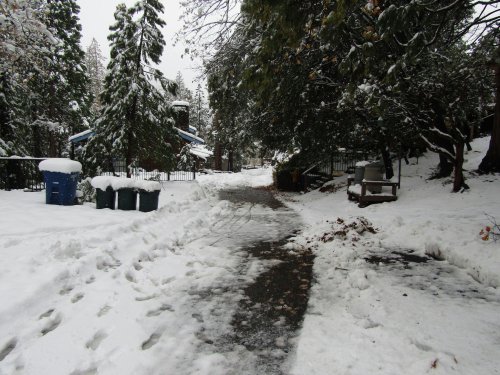 snow in the road